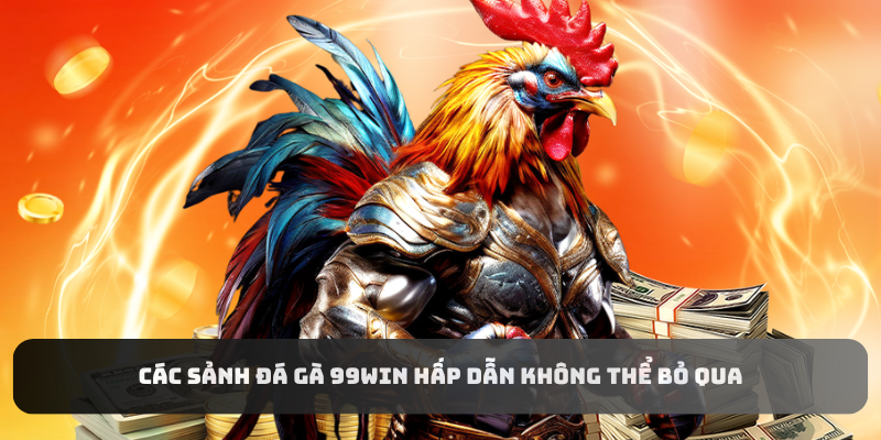 Các sảnh đá gà 99WIN hấp dẫn không thể bỏ qua