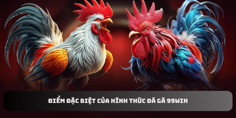 Điểm đặc biệt của hình thức đá gà 99WIN