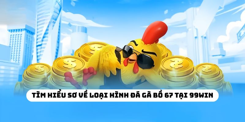 Tìm hiểu sơ về loại hình đá gà bồ 67 tại 99WIN