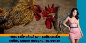 Trực Tiếp Đá Gà 67 – Cuộc Chiến Không Khoan Nhượng Tại 99WIN